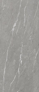Tau Ceramica Casania Gray Nat 6mm 120x280