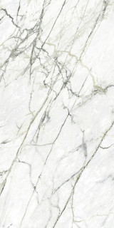 Tau Calacatta Green Pul 6mm 120x260