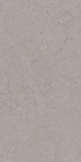 Tau Ceramica Calcare Silver Matt 60x120H0.78
