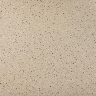 Tau Galena Tan 120x120