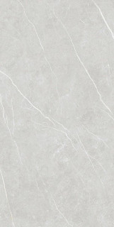 Tau Ceramica Elite Silver Nat 6mm 120x280