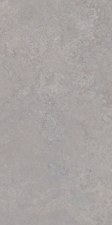 Tau Ceramica Dorset Silver Matt Rec 60x120H0.9
