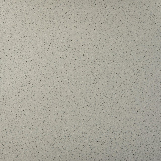 Tau Galena Silver 120x120