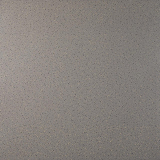 Tau Galena Gray 120x120