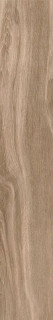 Tau Origin Umber 20x120