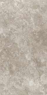 Tau Ceramica Rapolano Greige Nat 6mm 120x280