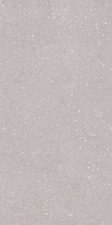 Tau Ceramica Sassy Silver Rec 60x120H1.05