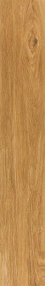 Tau Ragusa Camel 20x120