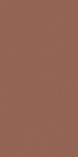 Tau Ceramica Tornares Zumaia Terracota Rec 60x120