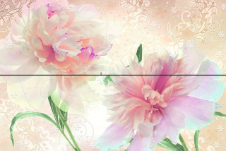 Undefasa Empire Dec. Aurora Set.2 50x75