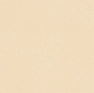 Venatto Pulido Blanco Perla 40х40