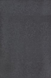 Venatto Texture Lappato Onix 40х60