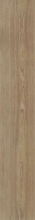 Venis Minnesota Camel 25x150
