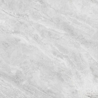 Venis Indic Nature 100x100