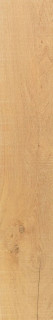 Venis Starwood Vancouver Honey 25x150
