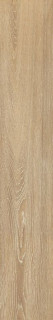 Venis Tanzania Almond 25x150