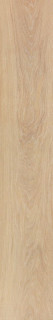 Venis Starwood Minnesota Camel 25х150
