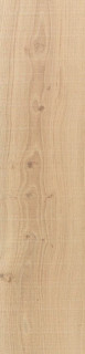 Venis Vancouver Nude 25x150
