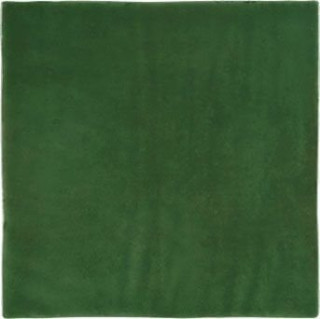 Vives Aranjuez Verde 20х20