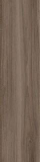 Vives Belice Noce 26x180