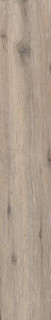 Vives Bowden-R Beige 19,4x120