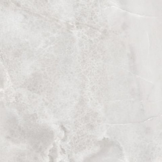 Vives Dandy Pelias-R Gris 59,3х59,3