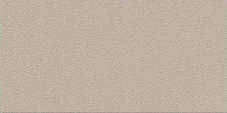 Vives Duo Greige R12 30x60H0.82