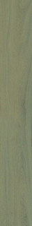 Vives Lignum-R Green 26x180