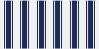 Vives Mugat-Rivoli Lepic Marino 10x20