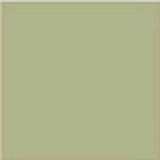 Vives Monocolor Musgo 20x20
