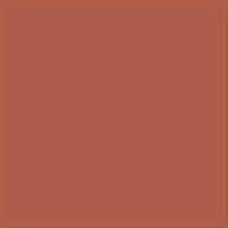 Vives Monocolor Teja 20x20