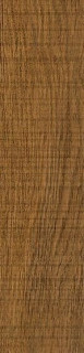 Vives Nora Marron R 21,8х89,3