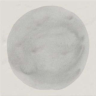 Vives Paola Hugo-B 20x20