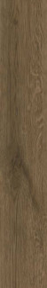 Vives Ottawa-R Miel 19,4x120