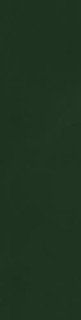 Vives Origo Green 8x31.5