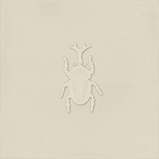 Vives Root Ager-4 Pearl 13x13