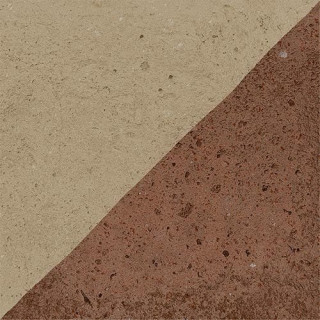 Vives Root Endo Bold 13x13