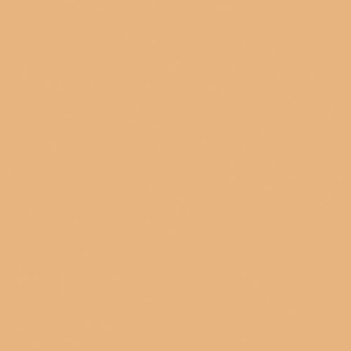 Vives Vodevil Beige 20х20