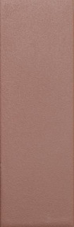 Wow Bits Chestnut Matt 3.7x11.6
