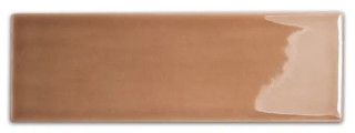 Wow Glow Caramel Gloss 5.2x16