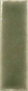 Wow Skin Moss Gloss 4x12.5H0.85