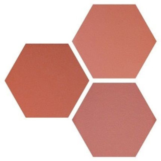 Wow Six Hexa Coral 14x16