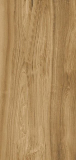 Xlight Premium Ewood Camel Nature (6 мм) 120x250