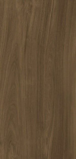 Xlight Premium Ewood Honey Nature (6 мм) 120x250
