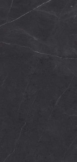 Xlight Premium Liem Black Nature (6 мм) 120x250