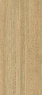 Xlight Cadore Arce Nature 120x270H0.6