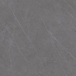Xlight Premium Liem Grey Polished (6 мм) 120x120