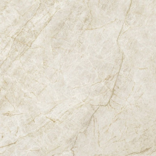 Xlight Premium Taj Mahal Polised (6 мм) 120x120