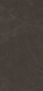 Xlight Premium Liem Dark Nature (6 мм) 120x250