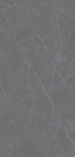Xlight Premium Liem Grey Polished (6 мм) 120x250